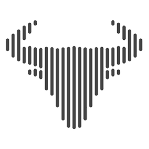 IT-Bulls logo
