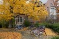 Should you move off campus?