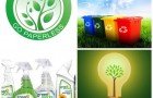 Green Living Tips for Renters